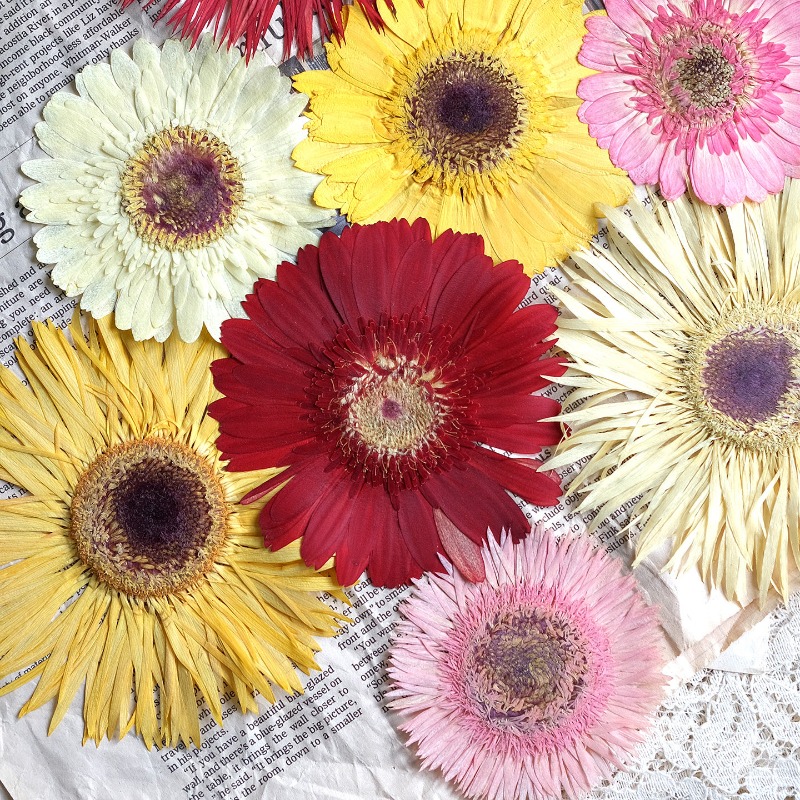1 قطعة/7-9 سنتيمتر ، ضغط Gerbe - مراجعة Resin Art Phone Case وسعره